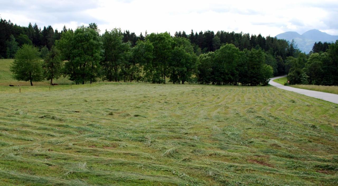 Farm Stay Rotovnik - Plesnik Словень-Градец Экстерьер фото