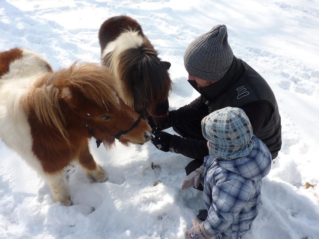 Farm Stay Rotovnik - Plesnik Словень-Градец Экстерьер фото