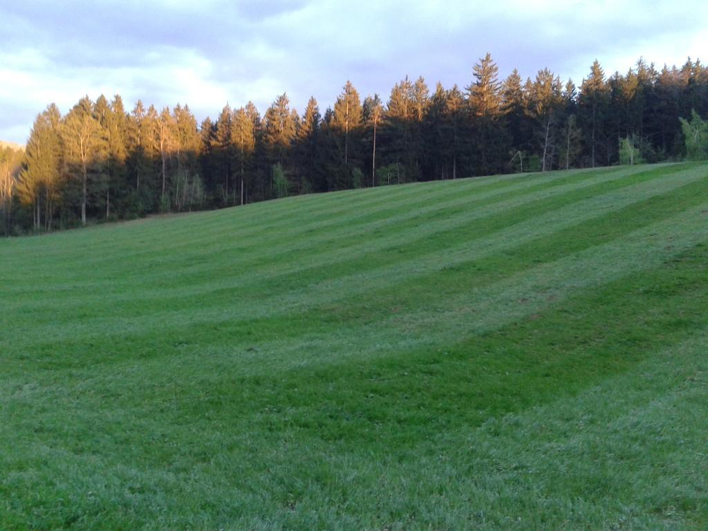 Farm Stay Rotovnik - Plesnik Словень-Градец Экстерьер фото