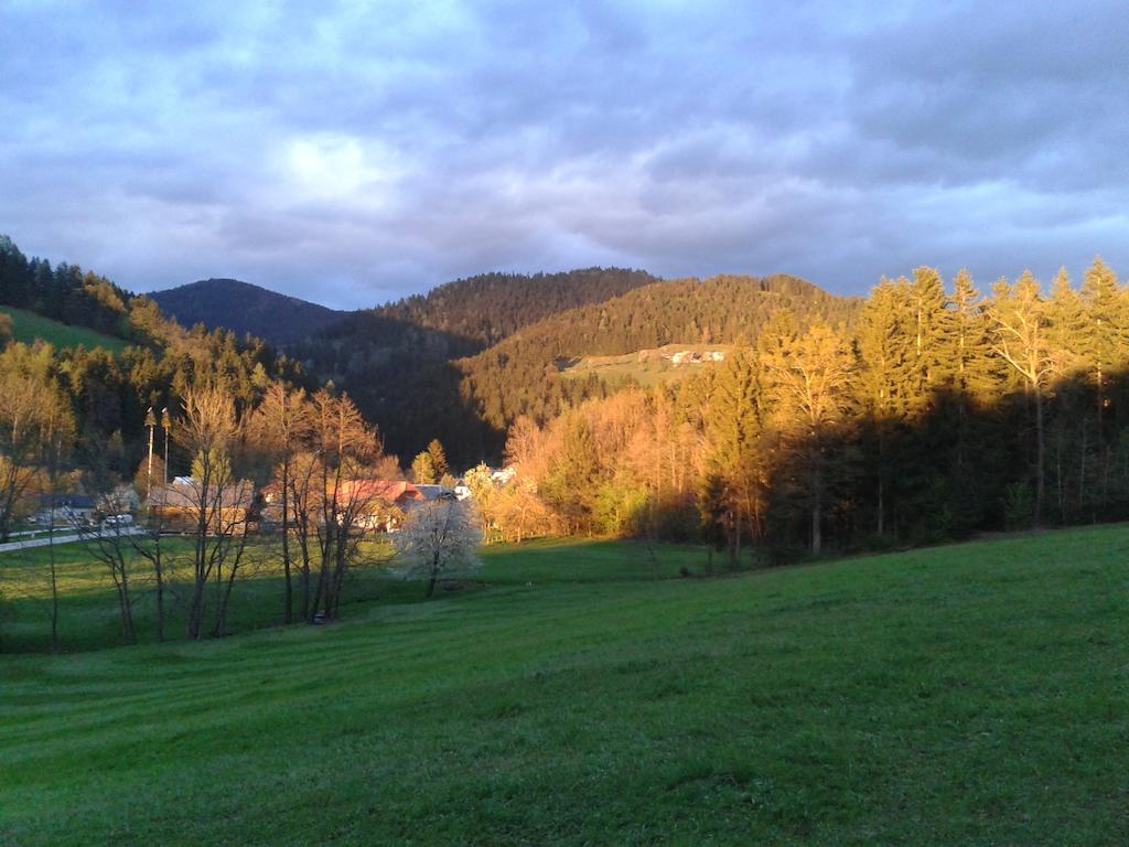 Farm Stay Rotovnik - Plesnik Словень-Градец Экстерьер фото