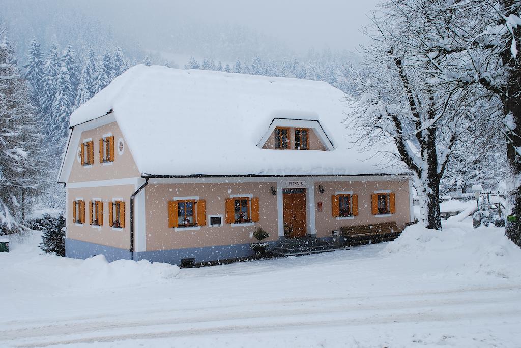 Farm Stay Rotovnik - Plesnik Словень-Градец Экстерьер фото